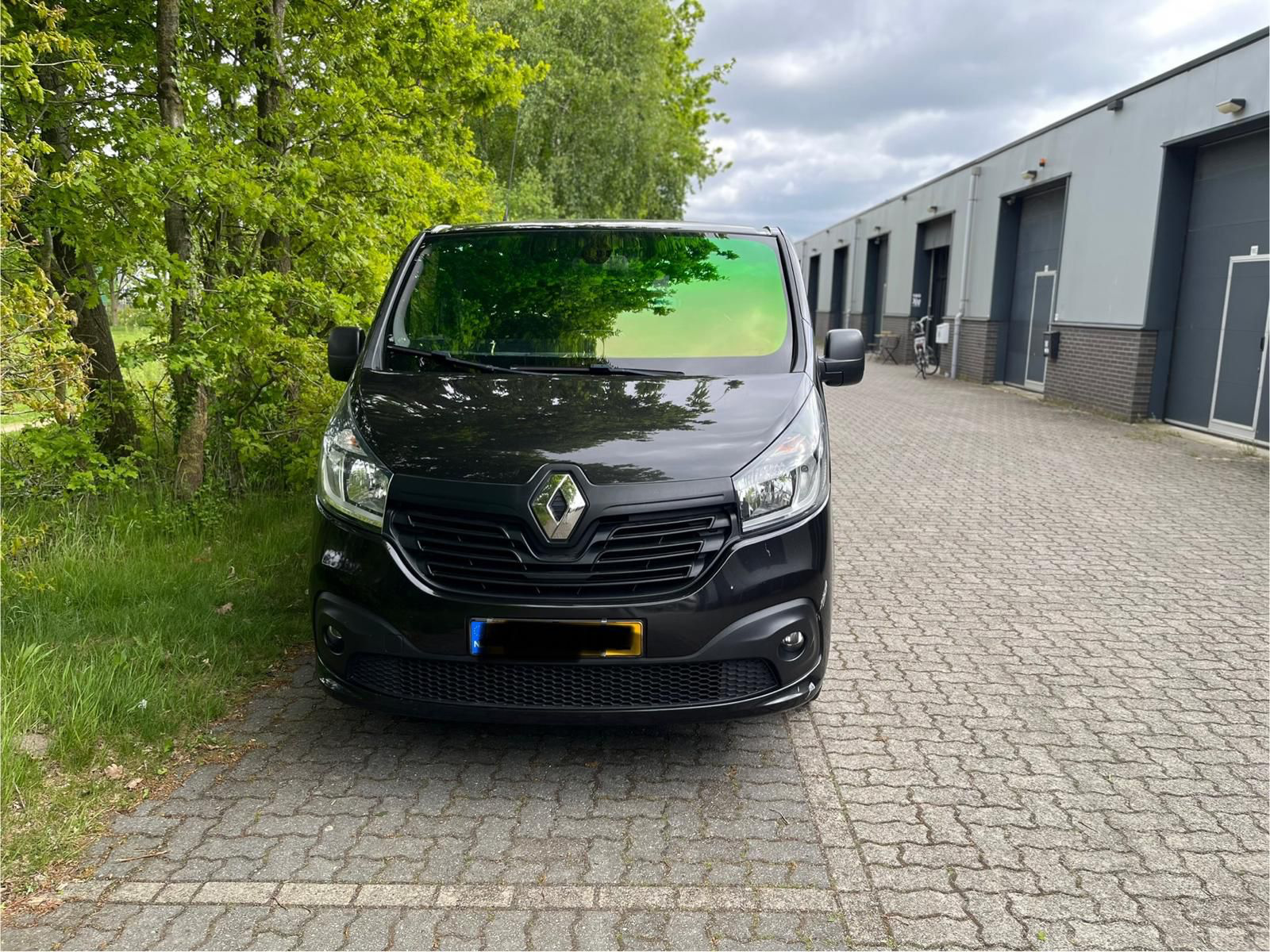 Chameleon Rood/Groen raamfolie