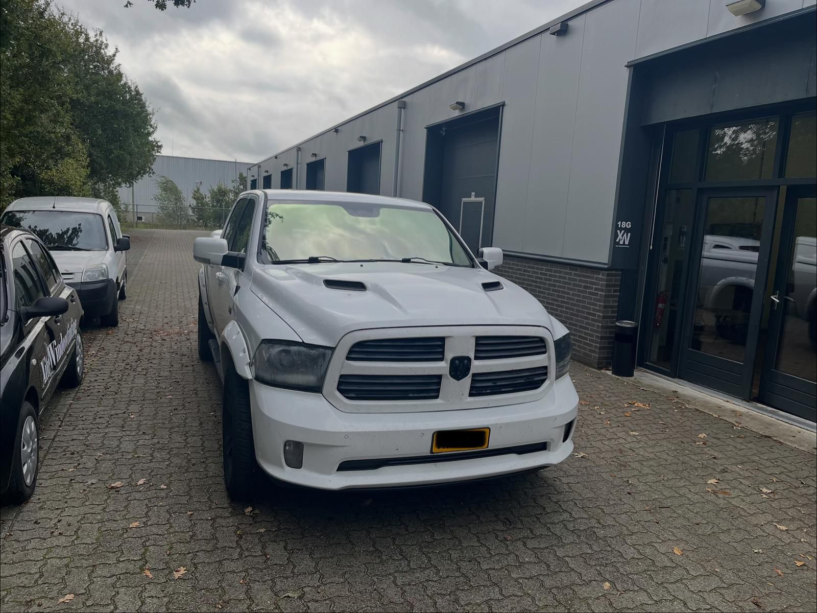 Chameleon Goud raamfolie