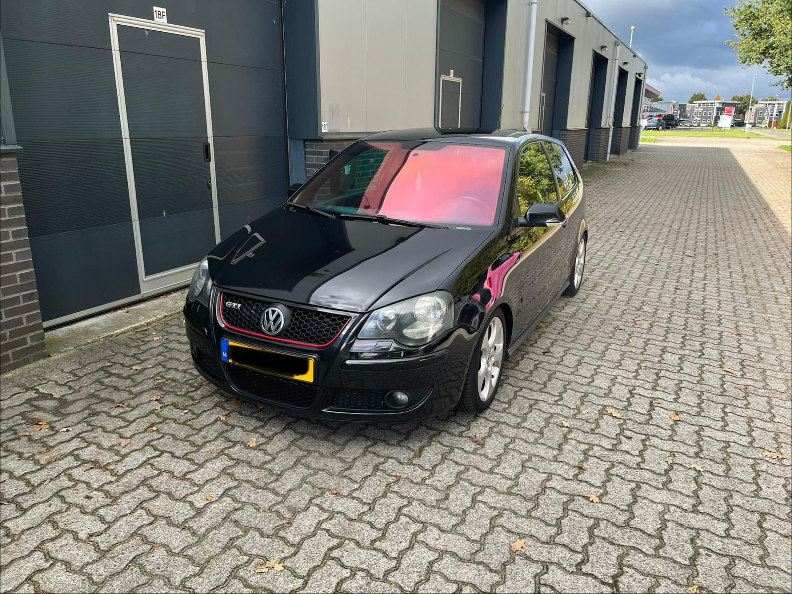 Chameleon Roze raamfolie